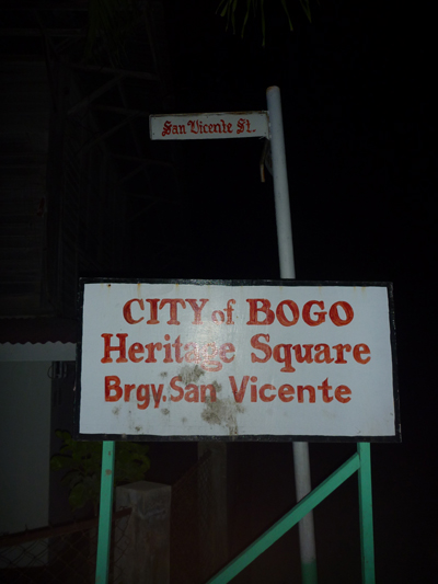 bogo square.jpg