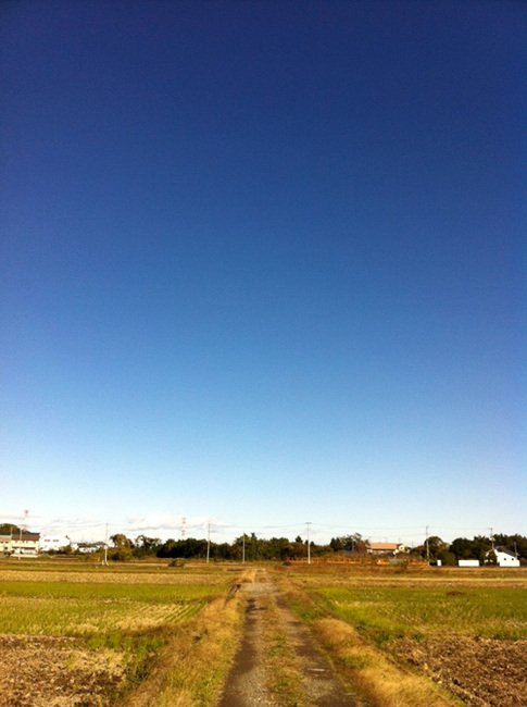 blue sky.jpg