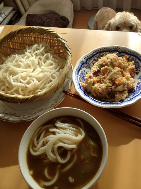 curry udon and mon.jpg