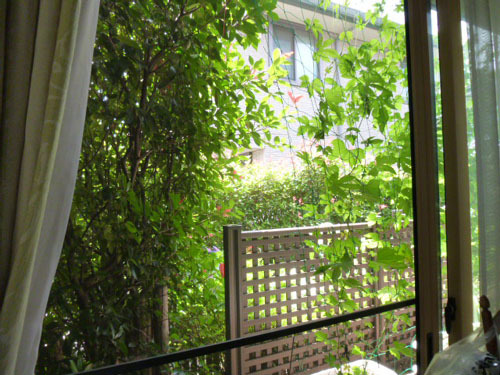 green curtain 7.jpg