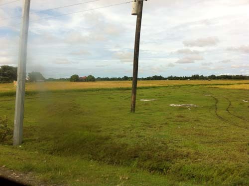 panay rice fields.jpg