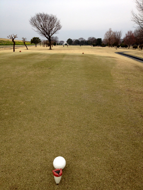 yoshimi golf 3.jpg